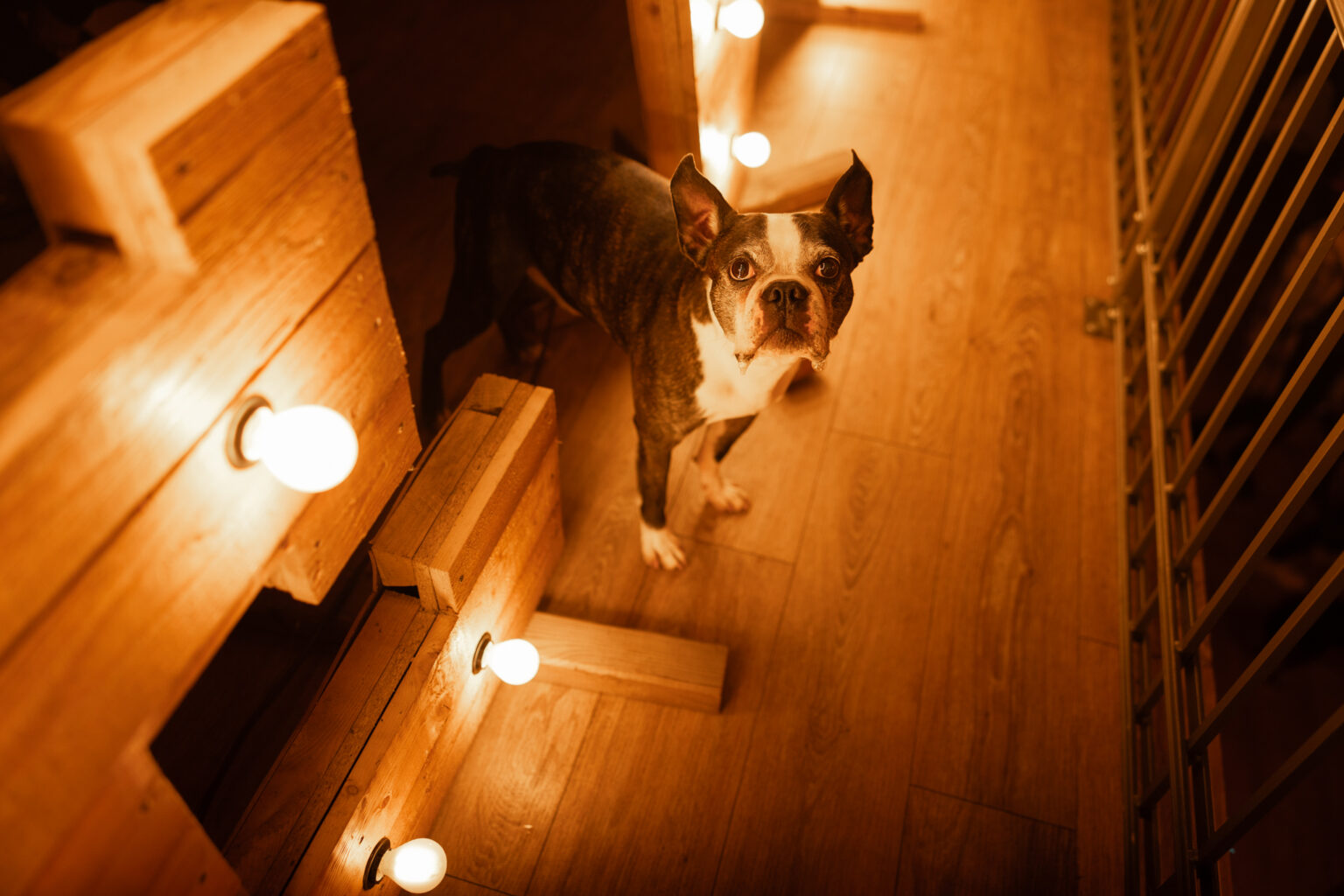 133A5175_webformat (1)