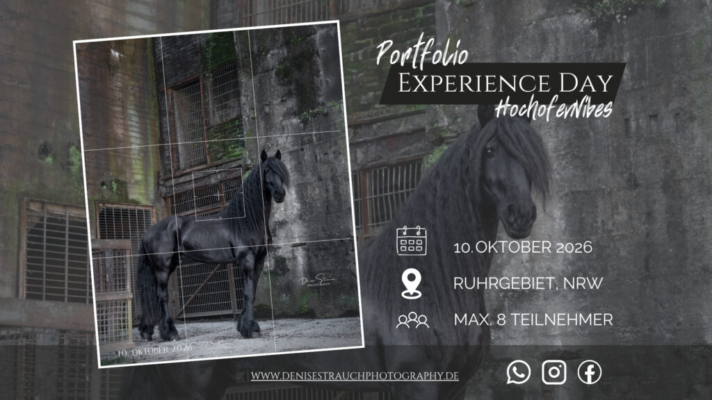 Experience Day - HochofenVibes