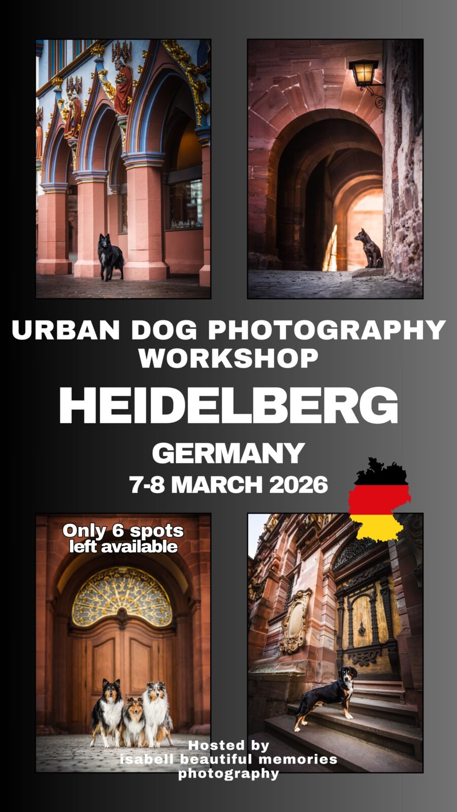 Urban Dog Photography workshop in Heidelberg March 2026