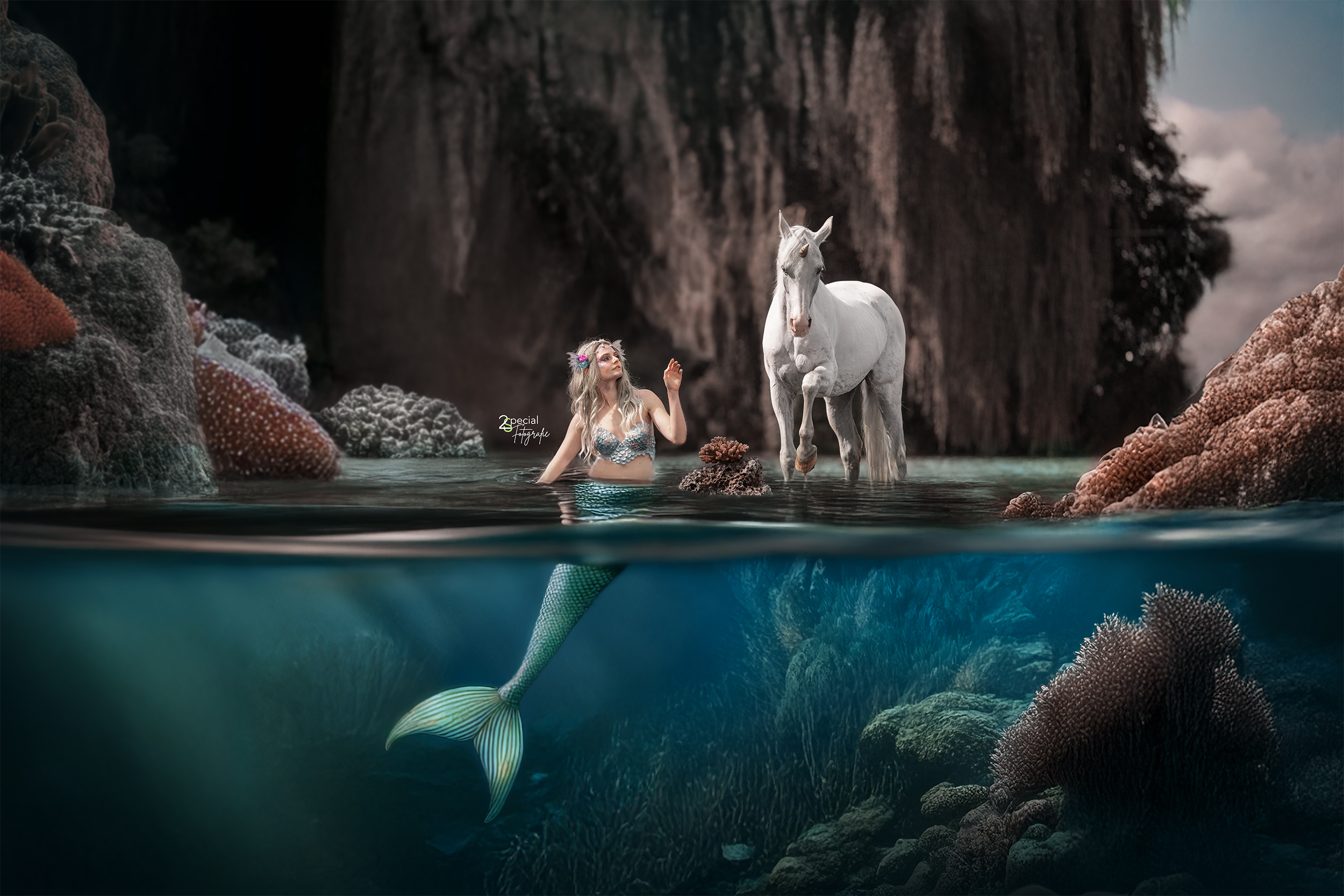 Mermaid meets Horses