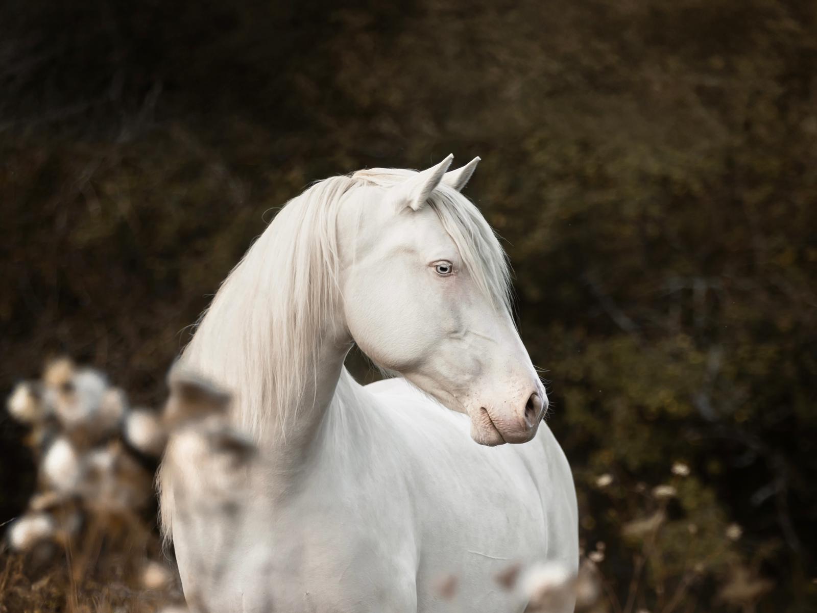 Zwischen Stahl & Stein